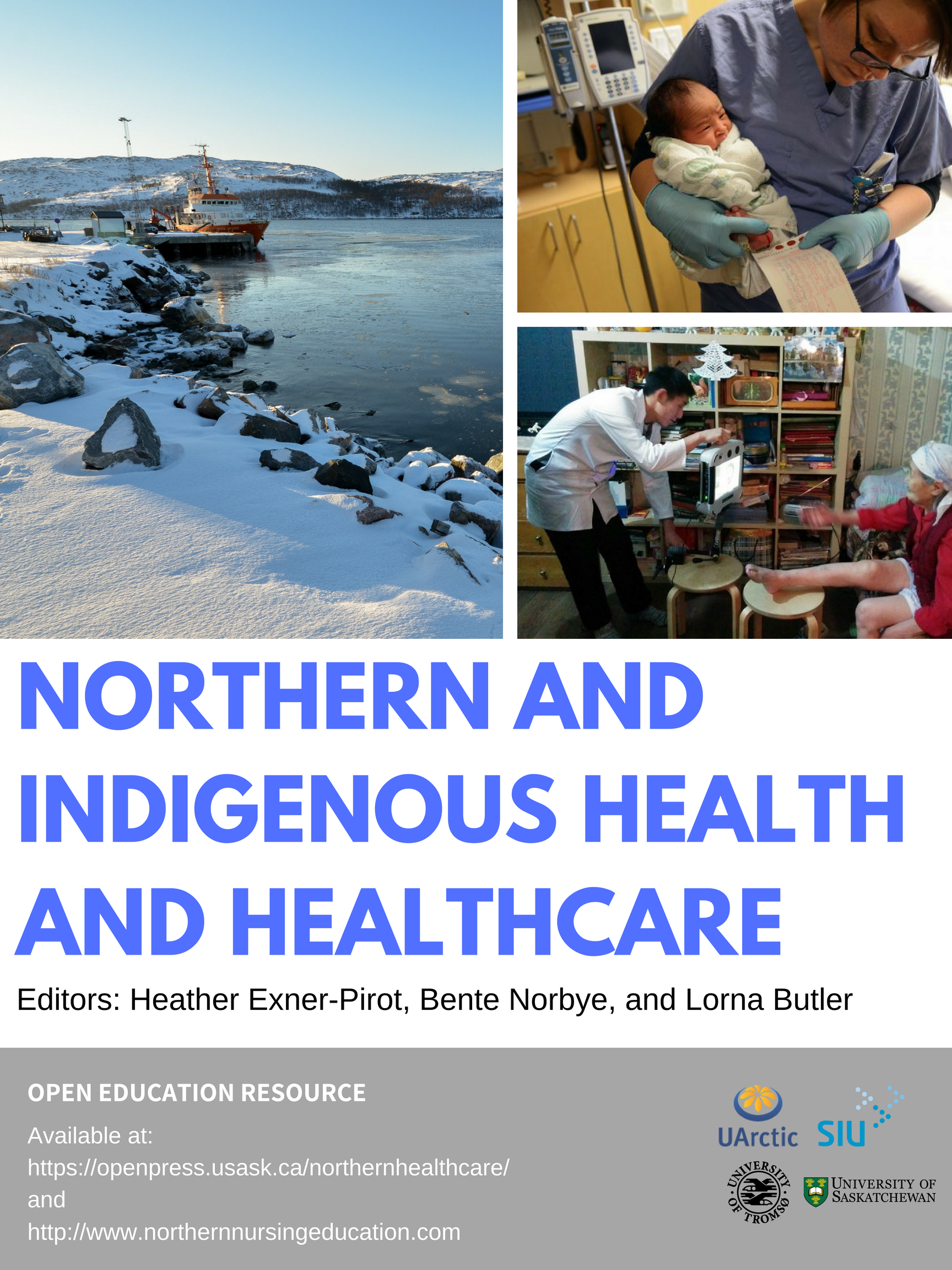 Page couverture de Northern and Indigenous Health and Healthcare