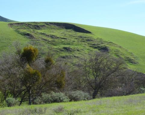 A soft grassy hill. The centre part of the hill gave away and shifted downwards.