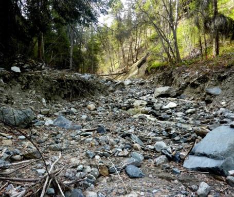 A pile of rocks, dirt, and sticks at the bottom of a slope.