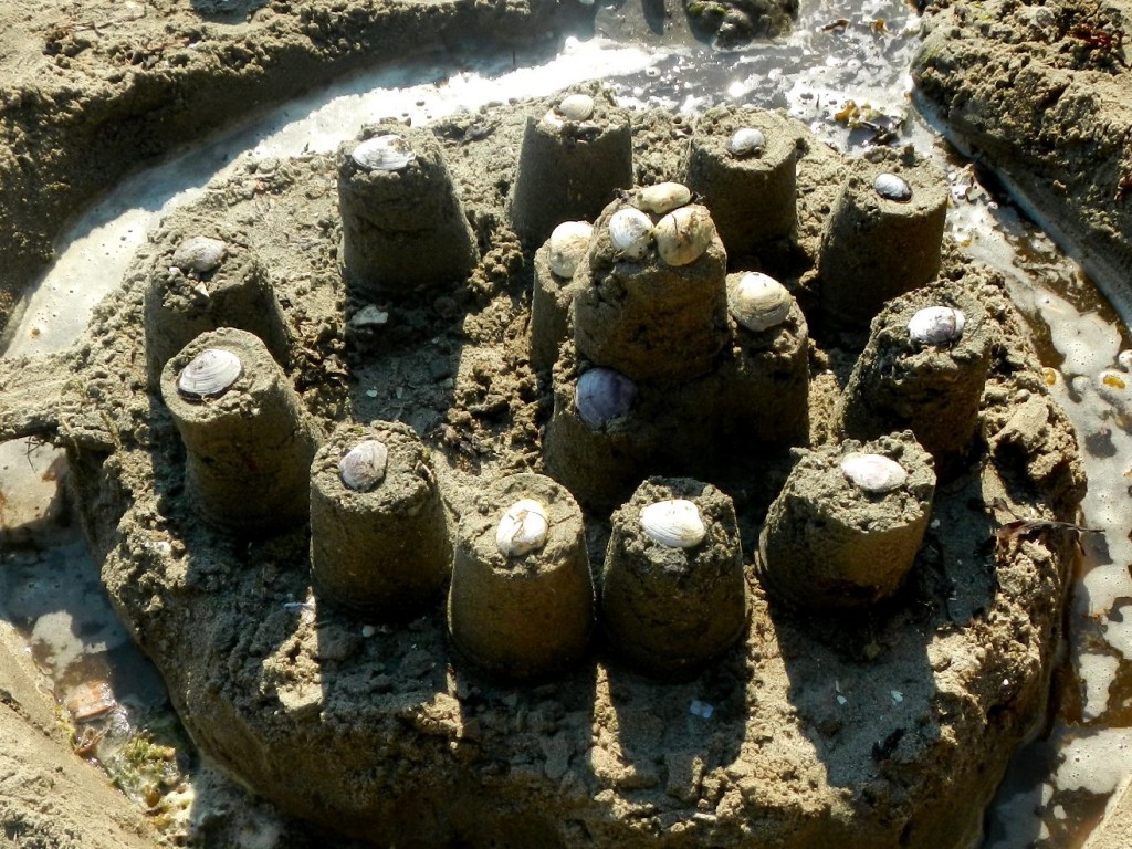 Wet sand has been used to build sand castles.