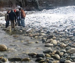 A group of people peer down at rocks in a stream